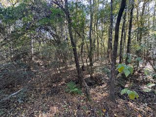 0 Willington Drive, Ridgeville, SC 29472