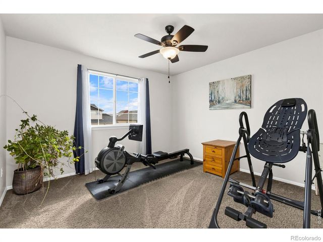 912 Barn Yard Drive, Windsor, CO 80550