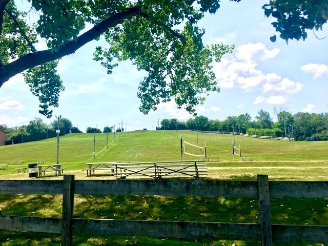 6020 Oakwood Drive 3J, Lisle, IL 60532