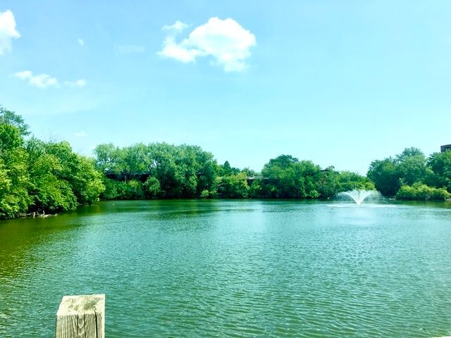 6020 Oakwood Drive 3J, Lisle, IL 60532