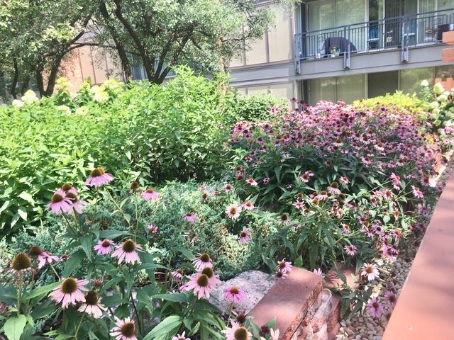 6020 Oakwood Drive 3J, Lisle, IL 60532