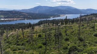 131XX E 20 Hwy, Kettle Falls, WA 99141