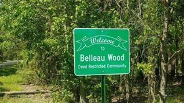 3330 Lakelane Drive, Houston, TX 77338