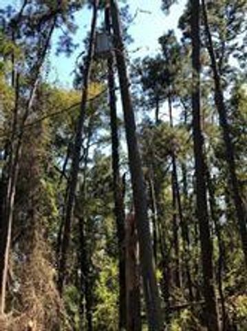 3330 Lakelane Drive, Houston, TX 77338