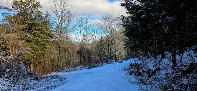 176 Wade Bulla Road, Watauga, TN 37694