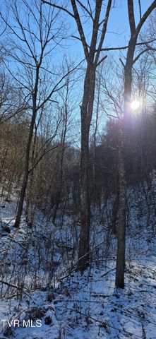 176 Wade Bulla Road, Watauga, TN 37694