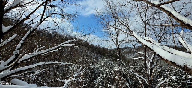 176 Wade Bulla Road, Watauga, TN 37694