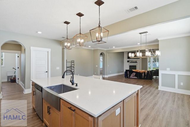 9 Palmer Place Lane NE, Ludowici, GA 31316