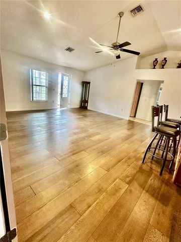 910 W RICH DRIVE, Mount Dora, FL 32757