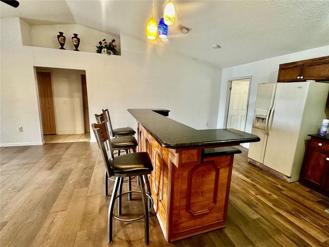 910 W RICH DRIVE, Mount Dora, FL 32757