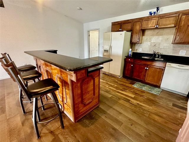 910 W RICH DRIVE, Mount Dora, FL 32757