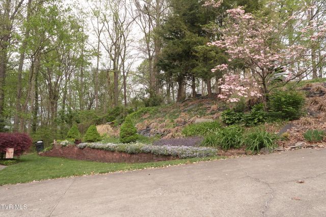 361 Cain Drive, Blountville, TN 37617