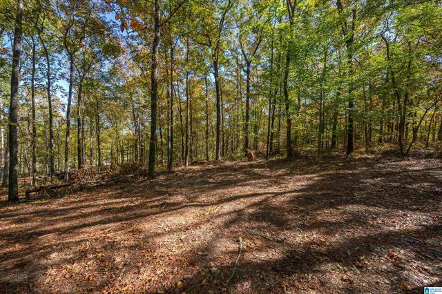 118 SAINT JUDES LANE, Talladega, AL 35160