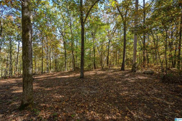 118 SAINT JUDES LANE, Talladega, AL 35160