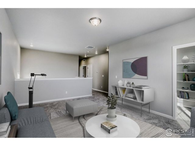 662 Noola St, Windsor, CO 80550