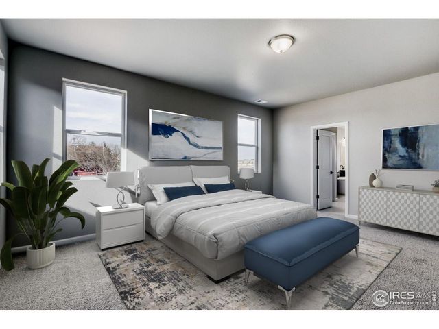 662 Noola St, Windsor, CO 80550