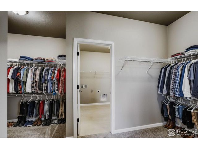 662 Noola St, Windsor, CO 80550