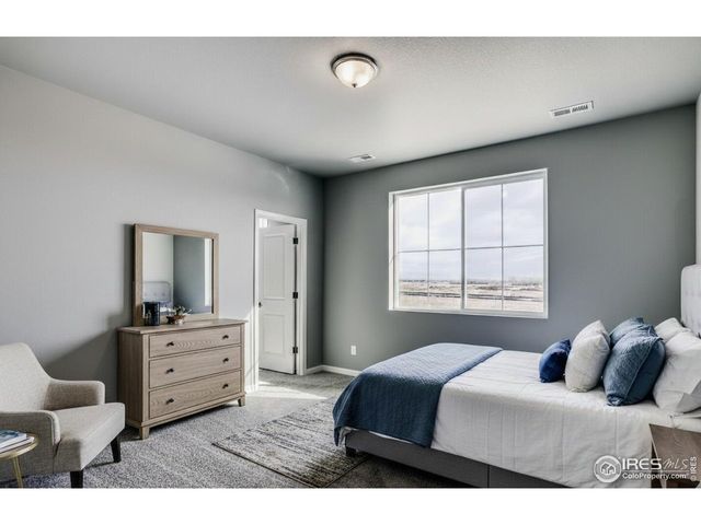 662 Noola St, Windsor, CO 80550