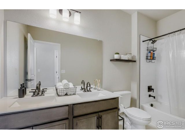 662 Noola St, Windsor, CO 80550