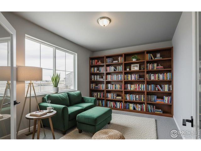 662 Noola St, Windsor, CO 80550