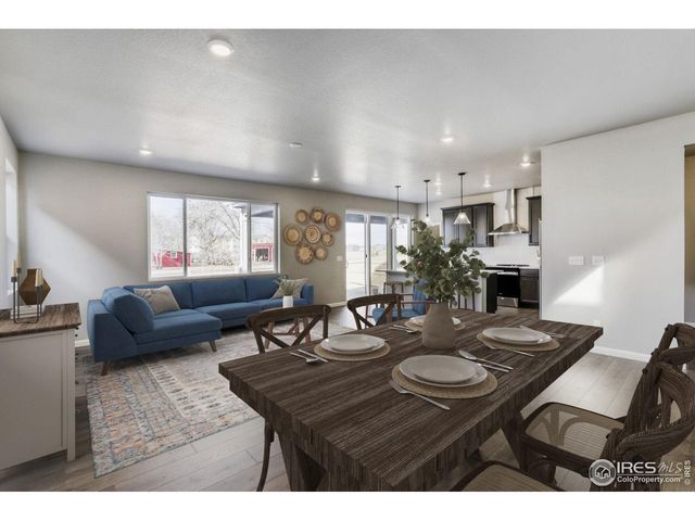662 Noola St, Windsor, CO 80550