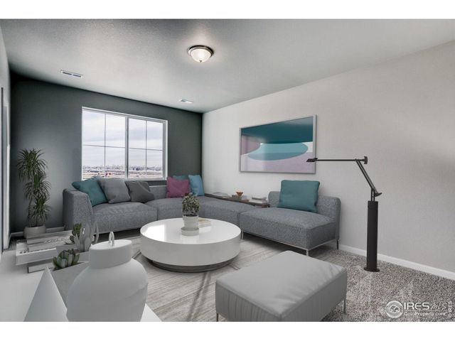 662 Noola St, Windsor, CO 80550