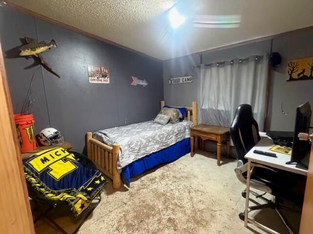 5237 S Chestnut Avenue, Newaygo, MI 49337