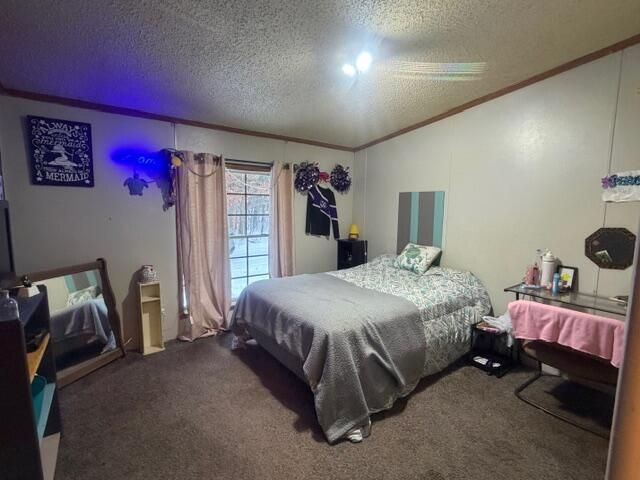 5237 S Chestnut Avenue, Newaygo, MI 49337