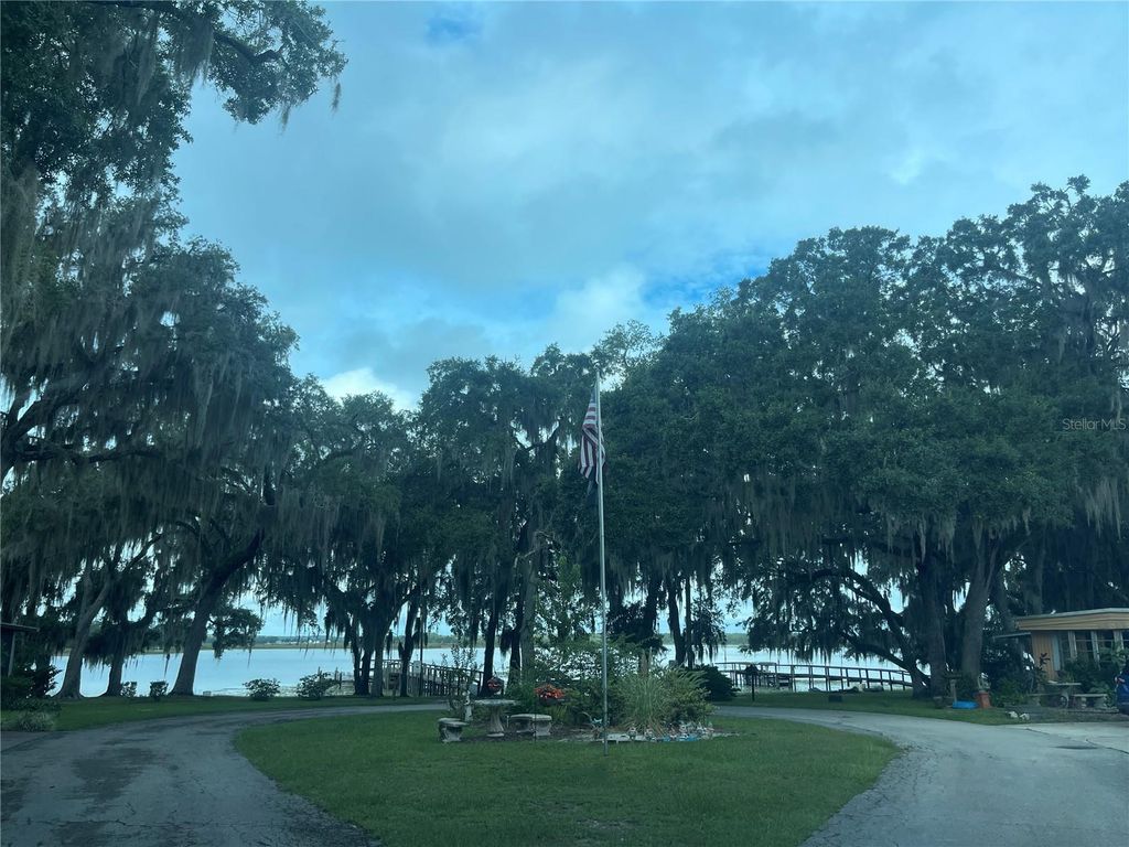 25225 NE 139TH ST, Salt Springs, FL 32134