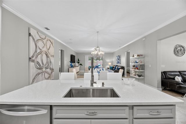 16805 BANNER SHELL PLACE, Wimauma, FL 33598