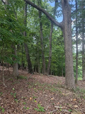 LOT 21 Mundell Road, Eureka Springs, AR 72631