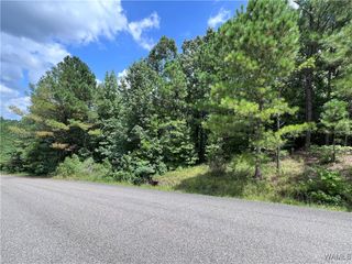 0 Rosser Rd, Duncanville, AL 35456