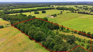 368 County Road 4960, Quitman, TX 75783