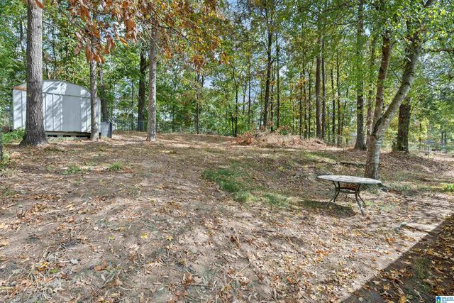 2236 PUP RUN DRIVE, Helena, AL 35080