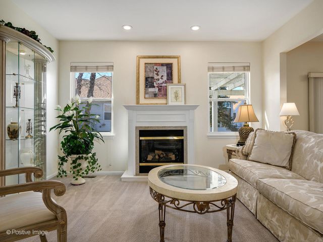 21344 W Juniper Lane, Plainfield, IL 60544