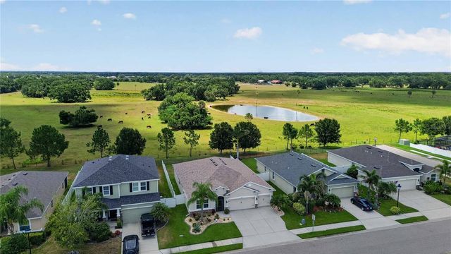 14907 TRINITY FALL WAY, Bradenton, FL 34212