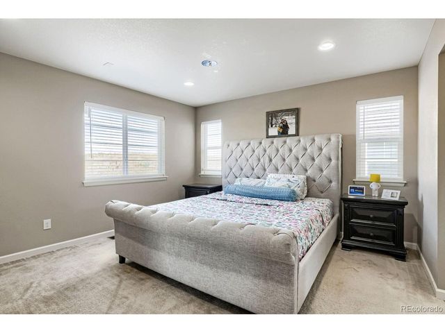 3397 Bittern St, Castle Rock, CO 80104