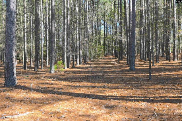 707 Mt Ebal Road, Batesburg, SC 29006