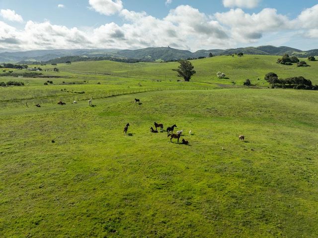 600 Rocks Road, San Juan Bautista, CA 95045