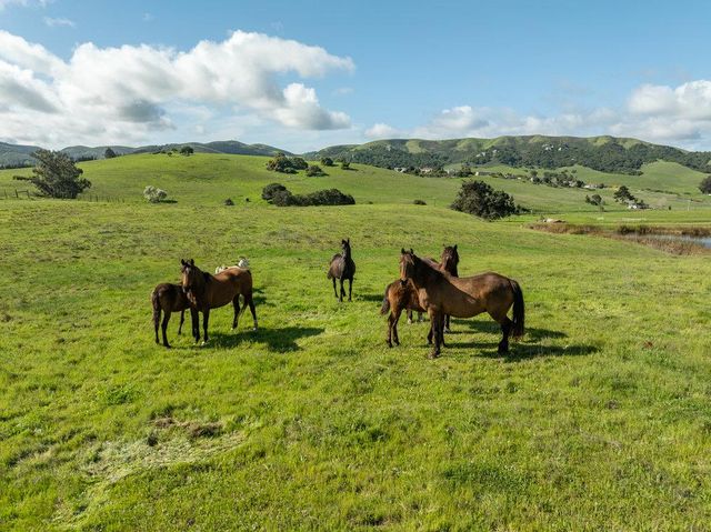 600 Rocks Road, San Juan Bautista, CA 95045