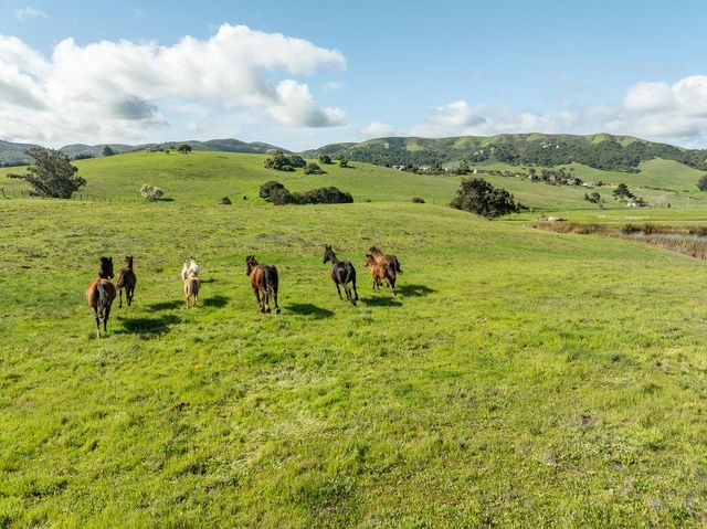 600 Rocks Road, San Juan Bautista, CA 95045