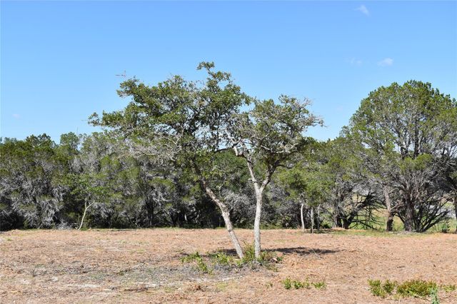 Lot 24 Riparian Elm RD, Bertram, TX 78605