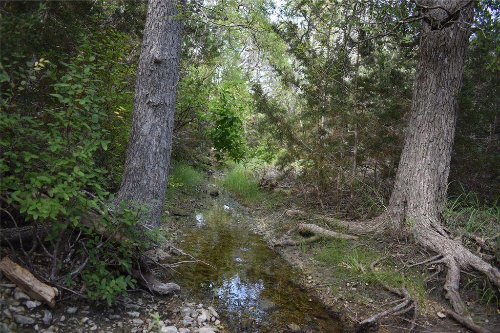 Lot 24 Riparian Elm RD, Bertram, TX 78605