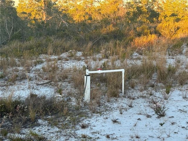 1154 Macarthur Street, Lake Placid, FL 33852