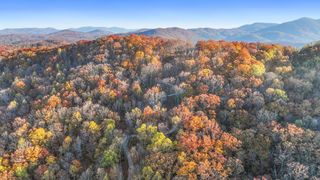 Lot 4 Wilderness Way, Blue Ridge, GA 30513