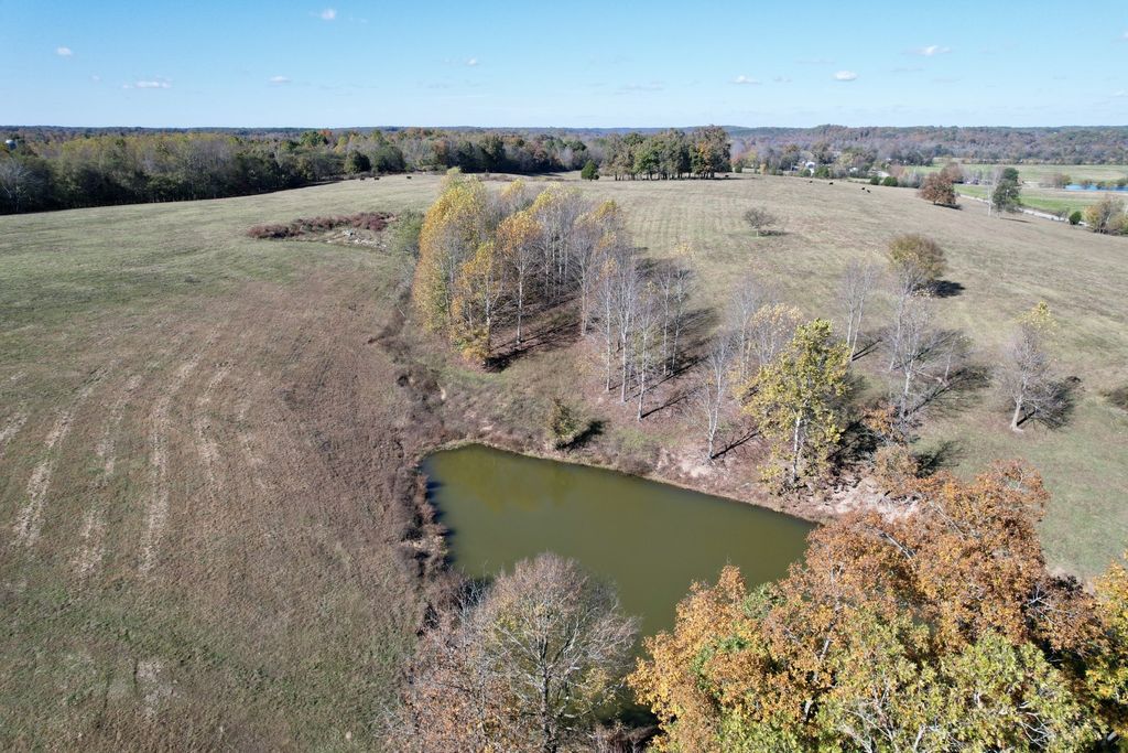 0 Henryville Rd, Summertown, TN 38483