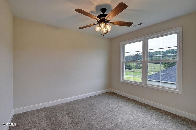 416 Tortoise Way, Jonesborough, TN 37659
