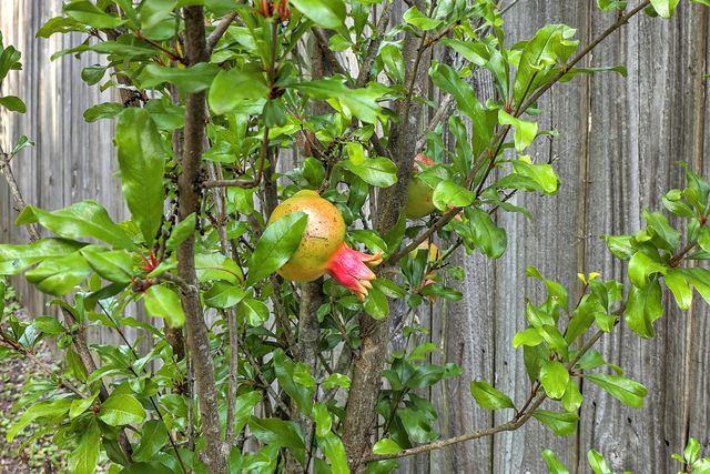 2154 Saint James Drive, Charleston, SC 29412