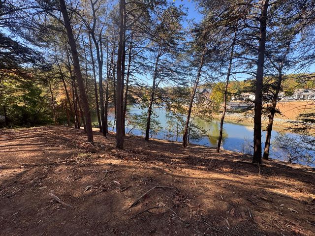 Lot 6 Isle Of Pines DR, Moneta, VA 24121