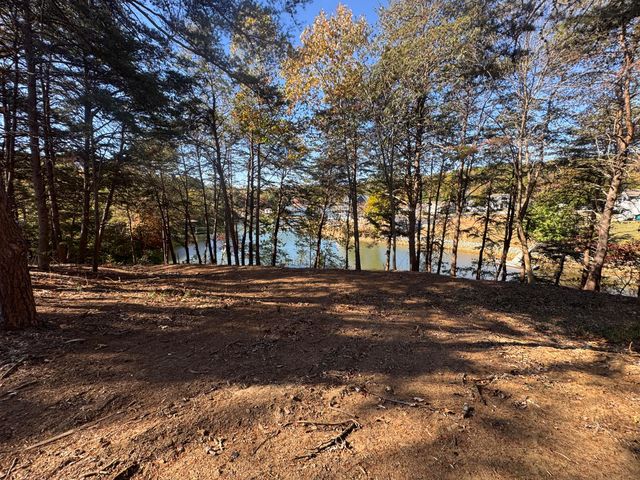 Lot 6 Isle Of Pines DR, Moneta, VA 24121